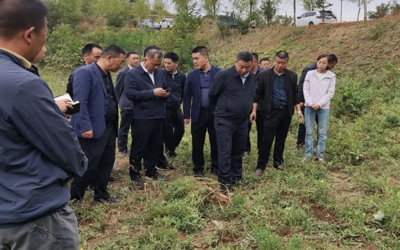 天水市政協(xié)副主席、清水縣委書記馬越垠到“榮程百草莊園”中藥材試驗(yàn)基地調(diào)研中草藥產(chǎn)業(yè)發(fā)展工作