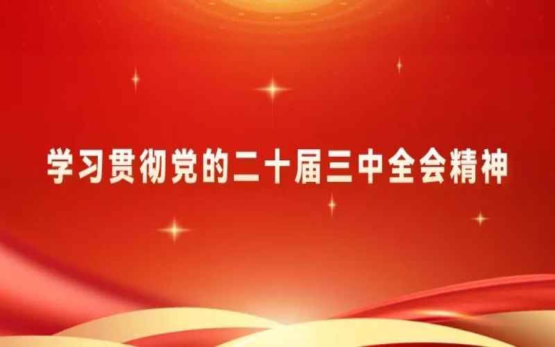 學(xué)習(xí)貫徹黨的二十屆三中全會(huì)精神 - 榮程青年為推進(jìn)中國(guó)式現(xiàn)代化挺膺擔(dān)當(dāng)（二）